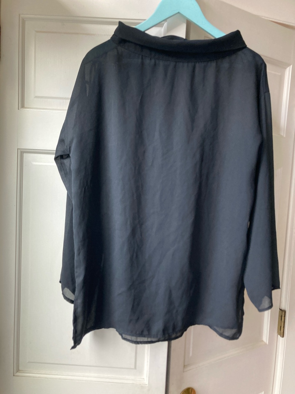 Sheer Black Long-Sleeve Chiffon-like Women’s Top